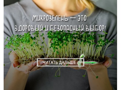Микрозелень — это здоровый и безопасный выбор!