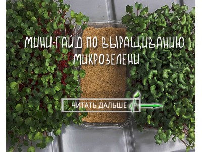 Мини-гайд по выращиванию микрозелени