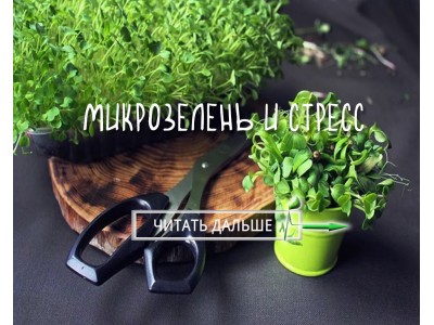 Микрозелень и стресс