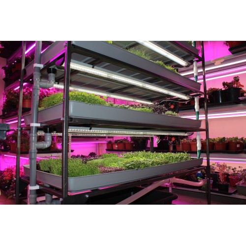 Гидропонная стеллажная ферма для выращивания микрозелени и салатов Полная 4 уровня