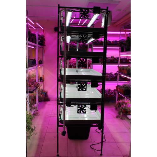 Гидропонная стеллажная ферма для выращивания микрозелени и салатов Полная 5 уровней