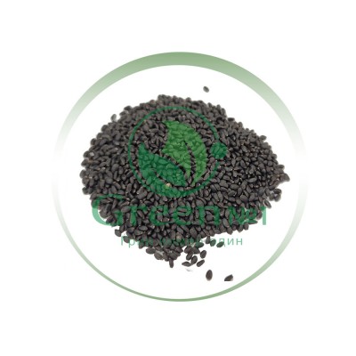Базилик зеленый "Вкус корицы" для проращивания микрозелени