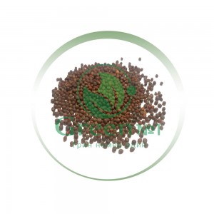 Брокколи Калабрезе для проращивания микрозелени