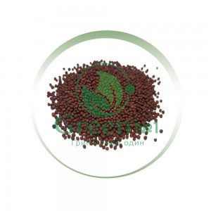 Брокколи Рааб (рапини) для проращивания микрозелени