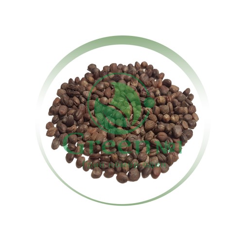 Редис Санго (фиолетовый) для проращивания микрозелени