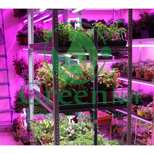 Гидропонная стеллажная ферма для выращивания от микрозелени до овощей 3 уровня